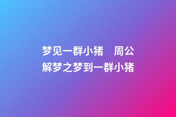 梦见一群小猪　周公解梦之梦到一群小猪